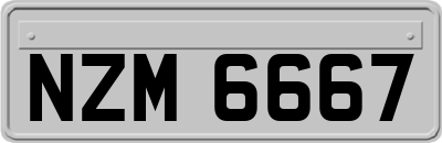 NZM6667