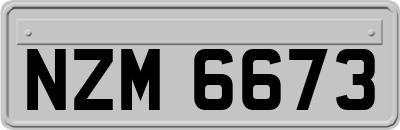 NZM6673