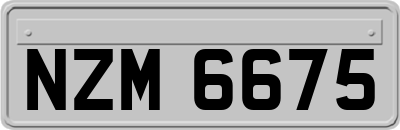 NZM6675