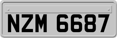 NZM6687