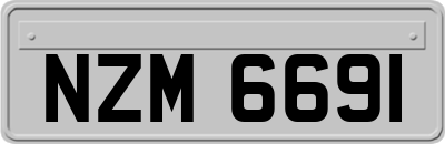 NZM6691