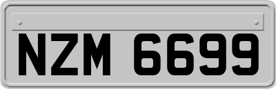 NZM6699
