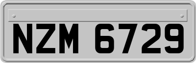 NZM6729