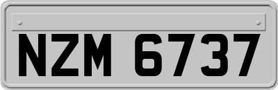 NZM6737