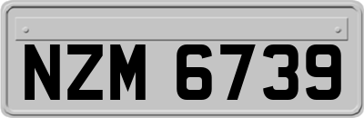NZM6739