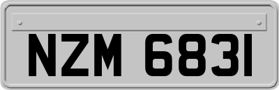 NZM6831