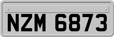 NZM6873