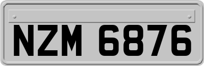 NZM6876
