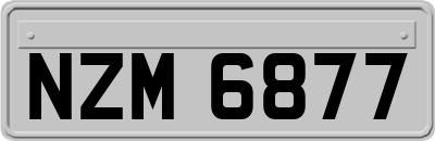 NZM6877