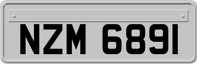 NZM6891