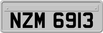 NZM6913