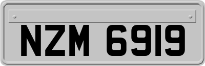 NZM6919