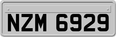 NZM6929