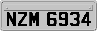 NZM6934