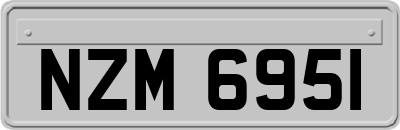 NZM6951