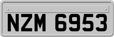 NZM6953