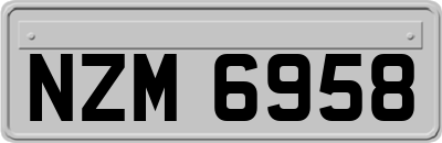 NZM6958