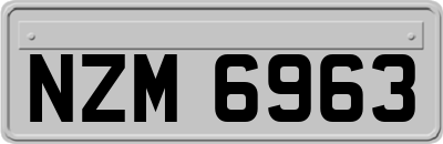 NZM6963