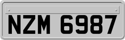 NZM6987