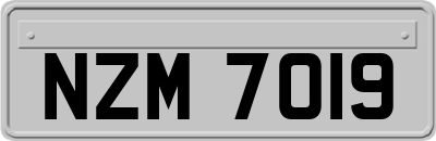 NZM7019