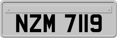 NZM7119