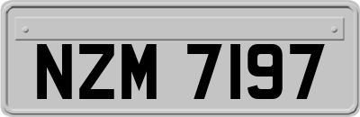 NZM7197