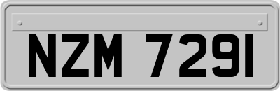 NZM7291