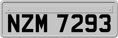 NZM7293