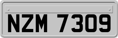 NZM7309