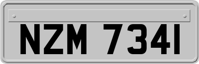 NZM7341