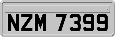 NZM7399