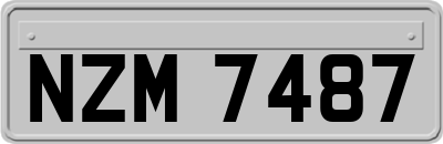 NZM7487