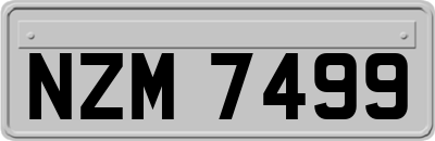 NZM7499