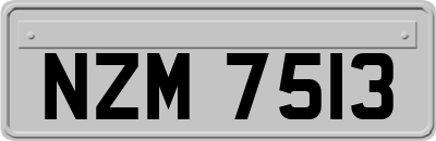 NZM7513