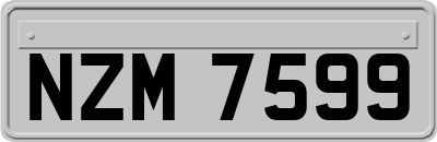 NZM7599