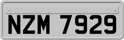 NZM7929