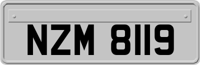 NZM8119