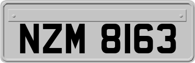 NZM8163