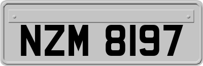 NZM8197