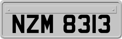 NZM8313