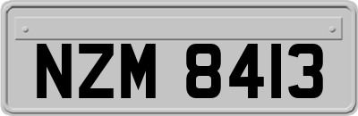 NZM8413