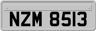 NZM8513