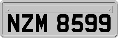 NZM8599