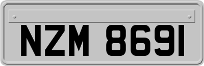 NZM8691