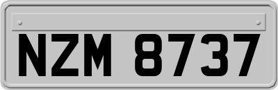 NZM8737