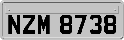 NZM8738