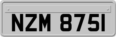 NZM8751