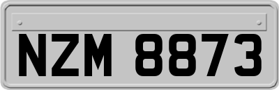 NZM8873