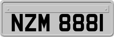 NZM8881
