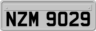 NZM9029
